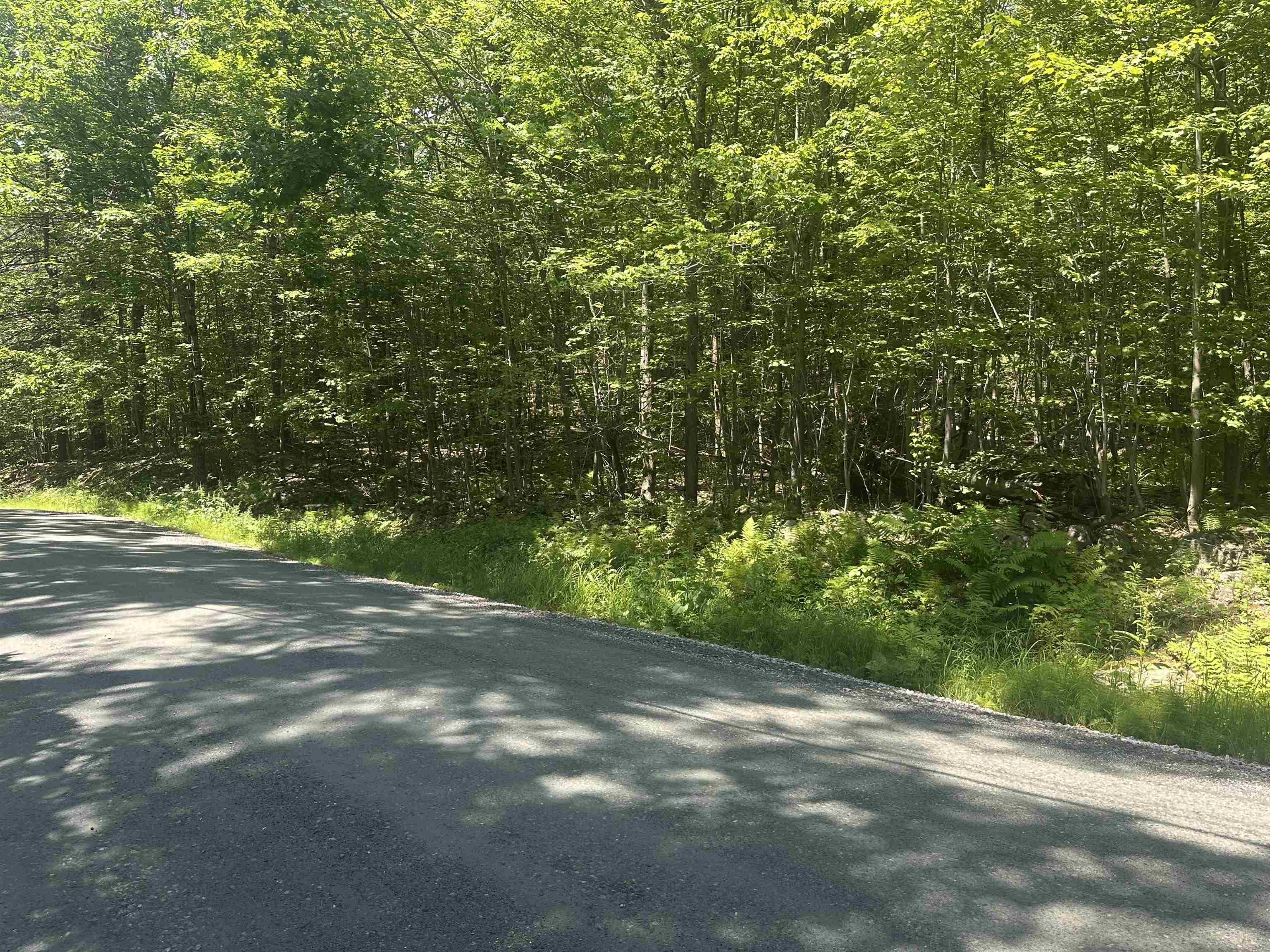 Lot 157 Old Province Road Newbury, NH 03255 - Photo 3 of 6