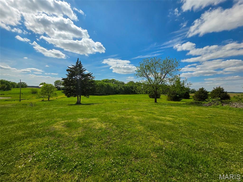 105 Roy Road Vergennes, IL 62994 - Photo 3 of 13