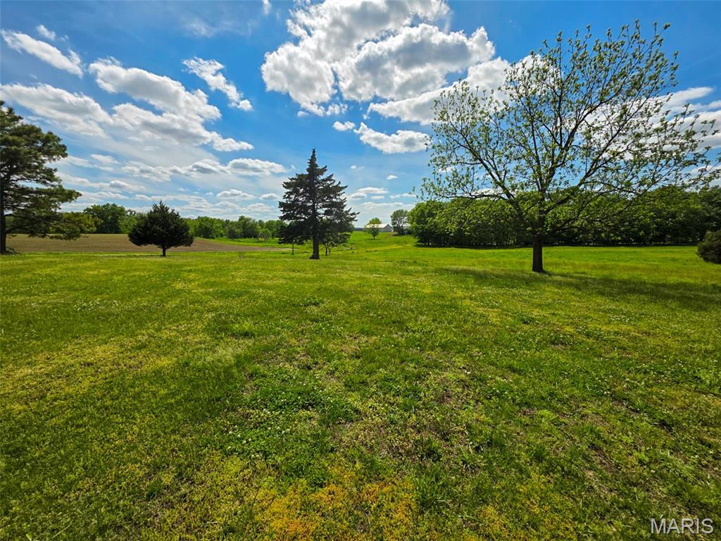 105 Roy Road Vergennes, IL 62994 - Photo 4 of 13