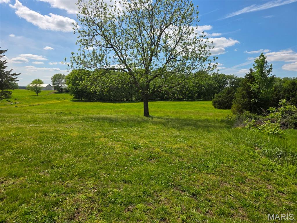 105 Roy Road Vergennes, IL 62994 - Photo 5 of 13