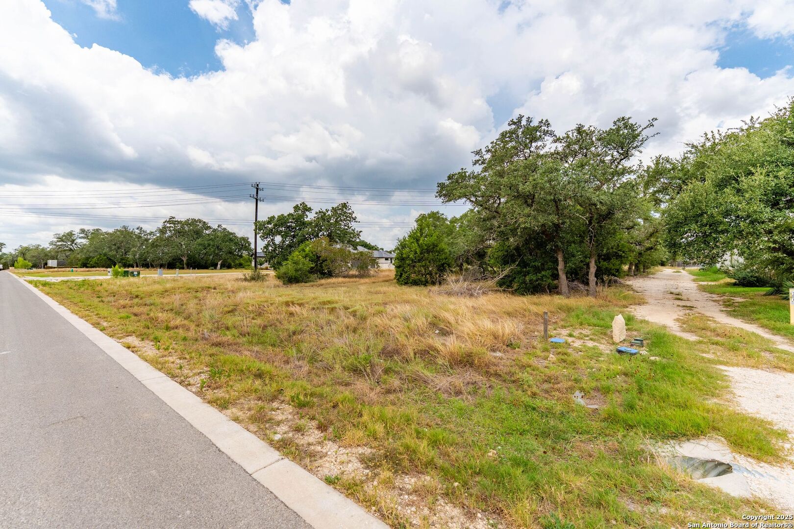 34848 Thanksgiving Trail Bulverde, TX 78163 - Photo 9 of 20 a view of swimming pool with a yard