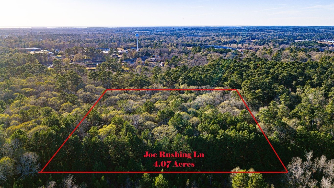 Tbd Joe Rushing Lane Livingston, TX 77351 - Photo 3 of 12
