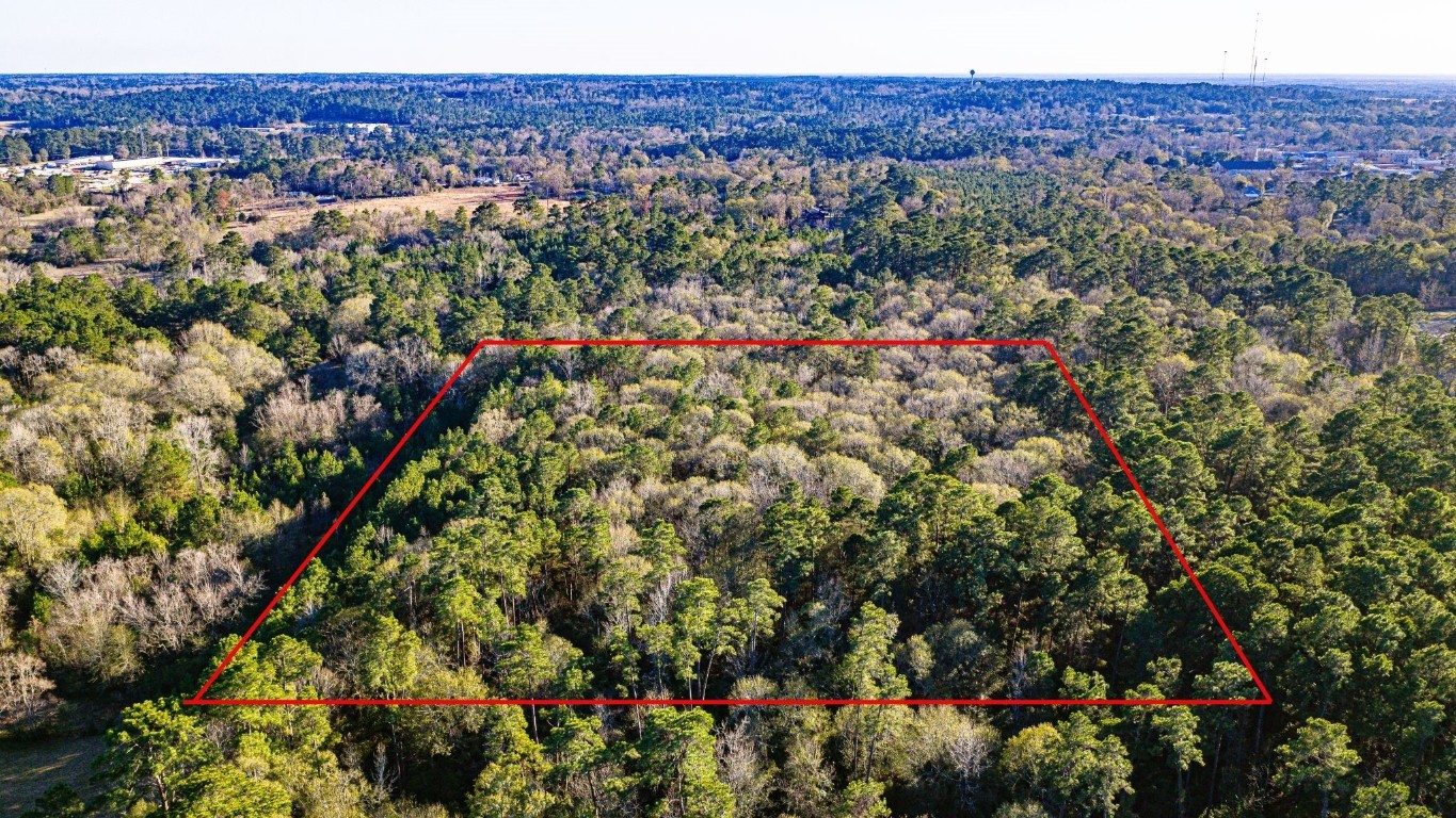 Tbd Joe Rushing Lane Livingston, TX 77351 - Photo 4 of 12