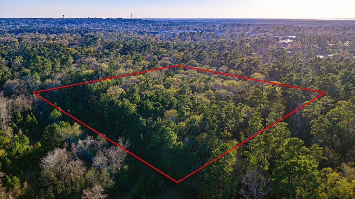 Tbd Joe Rushing Lane Livingston, TX 77351 - Photo 6 of 12