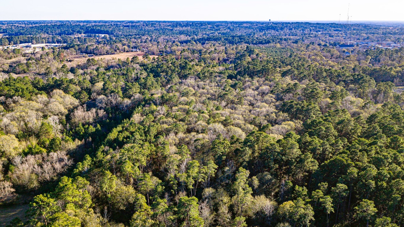 Tbd Joe Rushing Lane Livingston, TX 77351 - Photo 7 of 12