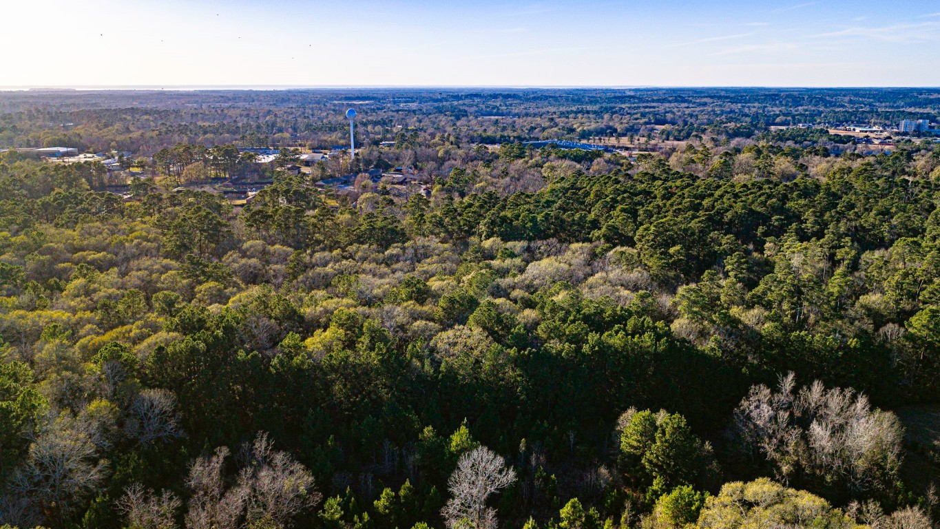 Tbd Joe Rushing Lane Livingston, TX 77351 - Photo 8 of 12