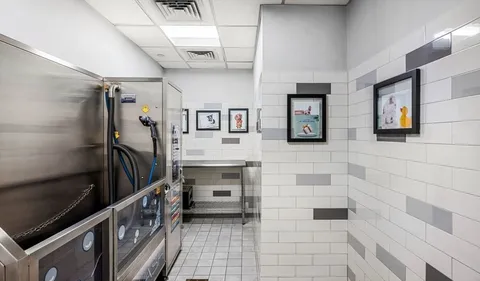 a picture of a bathroom with a shower curtain