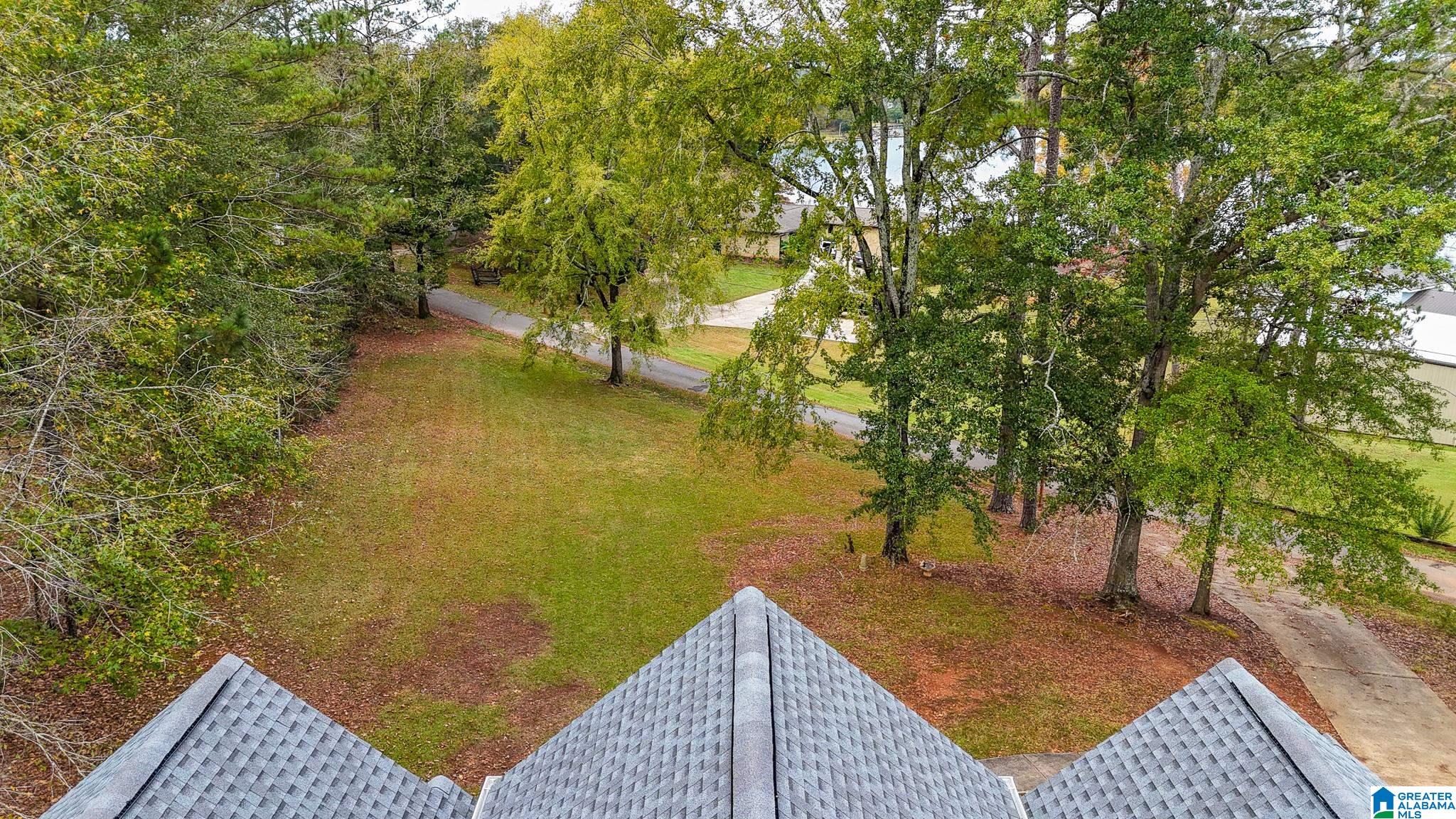 488 Rabbit Point Road Cropwell, AL 35054 - Photo 63 of 67 Gallery Image 63