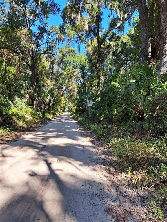 0 Southwest 56 Avenue Gainesville, FL 32608 - Photo 2 of 3 a view of a yard with a tree