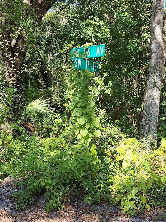 0 Southwest 56 Avenue Gainesville, FL 32608 - Photo 3 of 3 a backyard of a house with lots of green space
