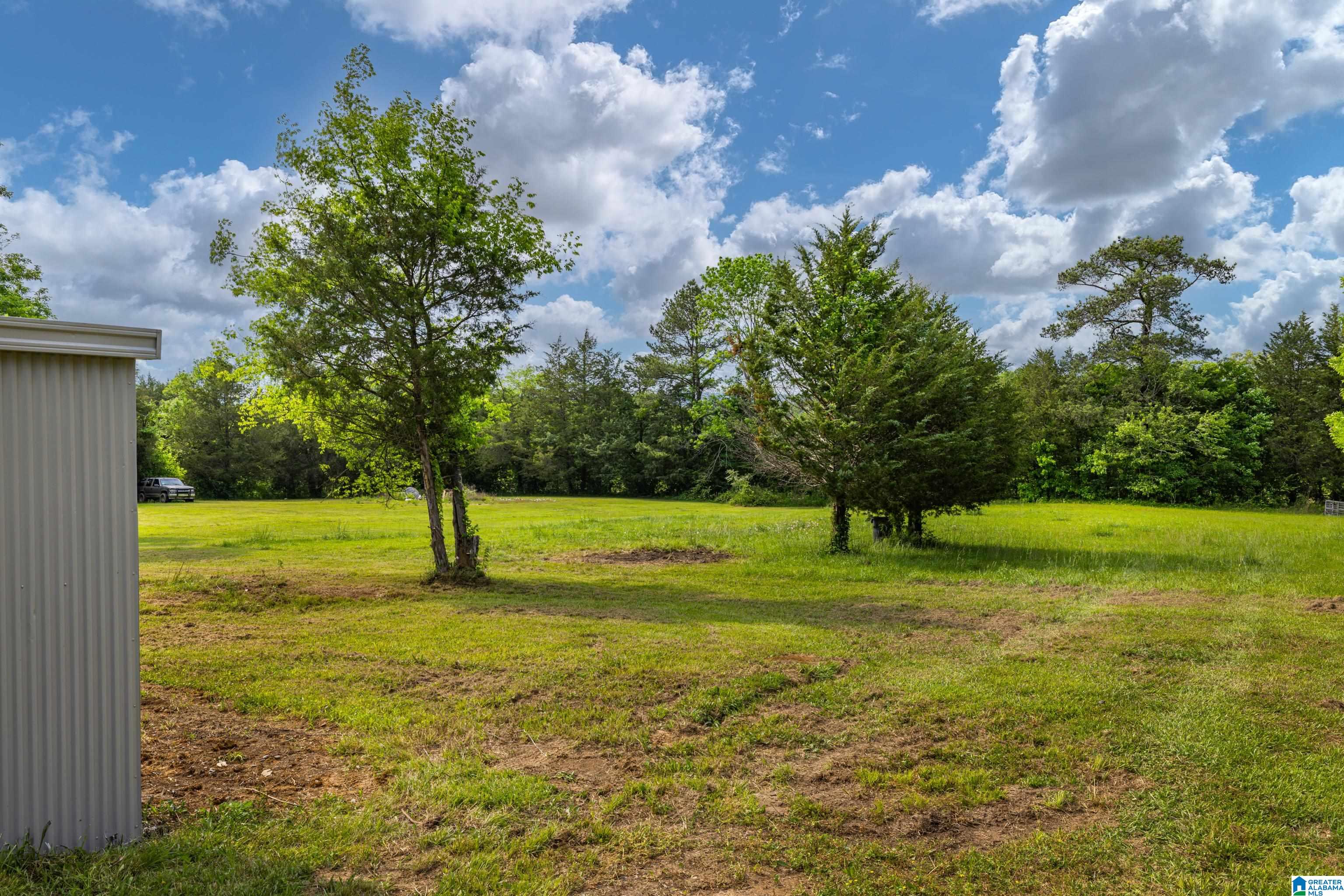 2006 Pine Dale Road Ashville, AL 35953 - Photo 31 of 32