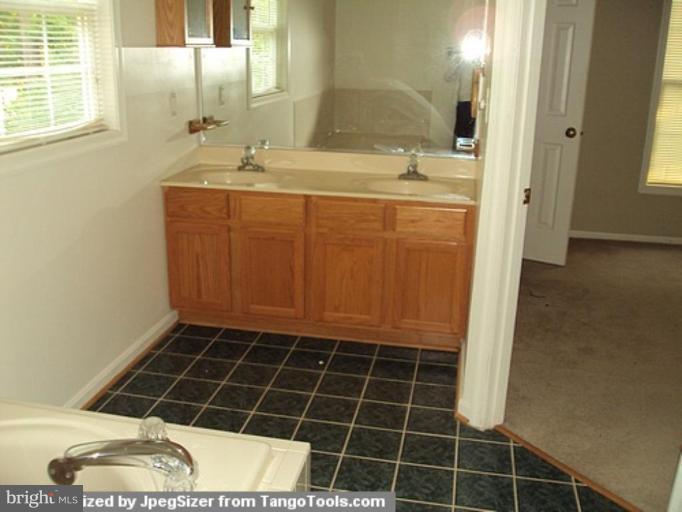 8427 Passapatanzy Road King George, VA 22485 - Photo 8 of 12 Master Bath