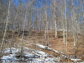 200 Mcintyre Road Center Point, WV 26339 - Photo 12 of 12