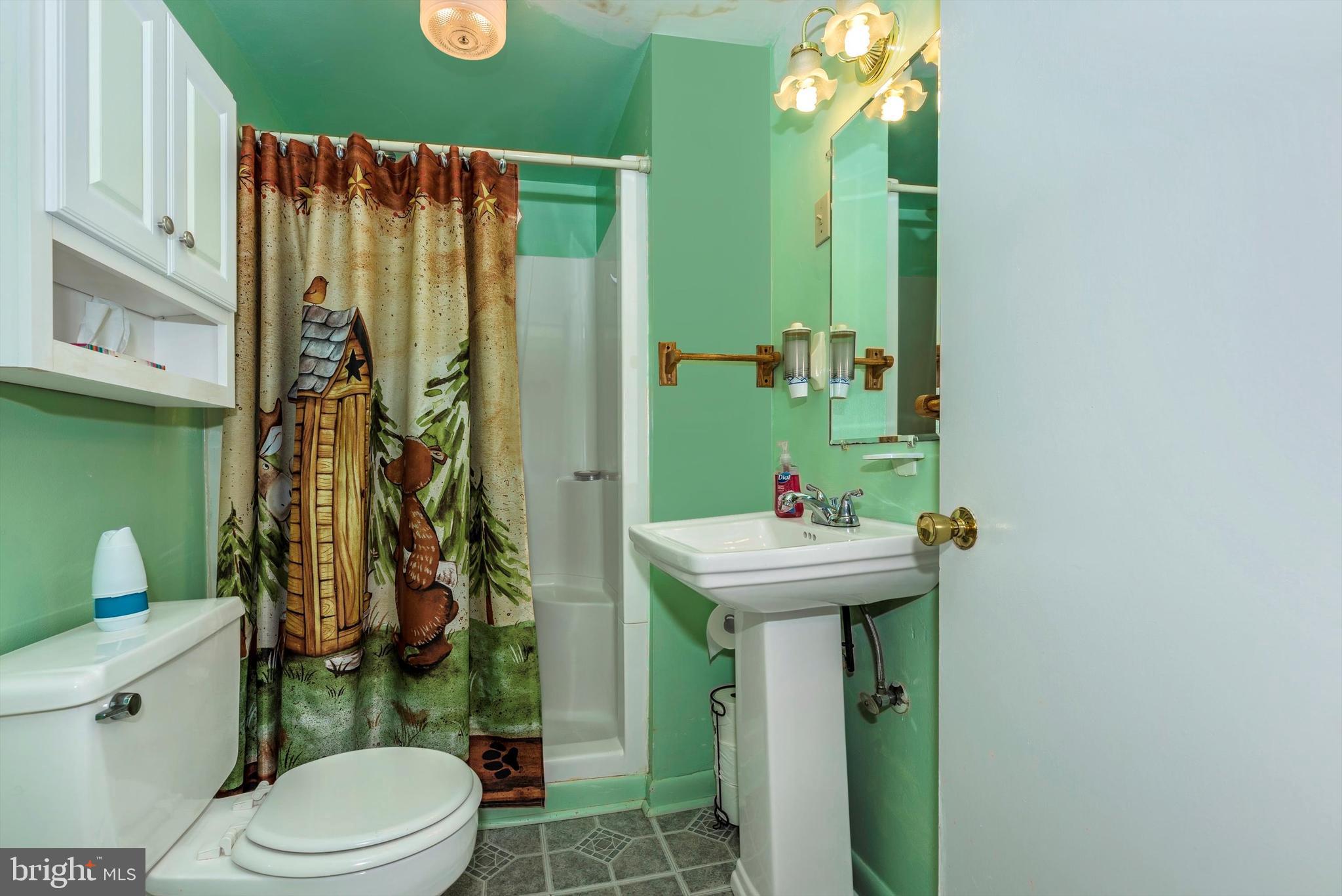 10329 Old Annapolis Road Frederick, MD 21701 - Photo 16 of 27 Full Bathroom on Lower Level