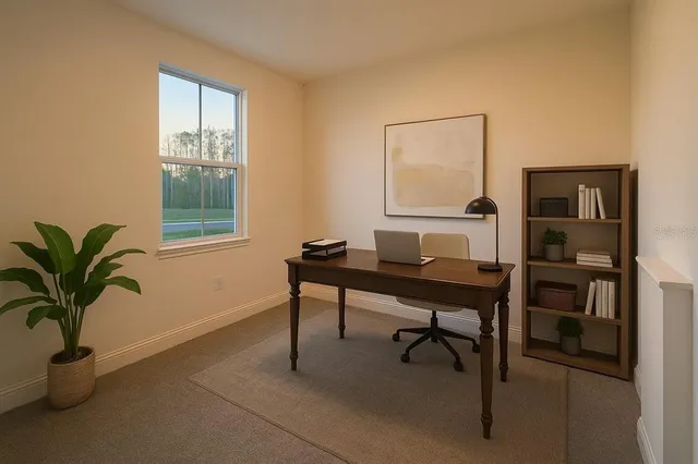 a view of a workspace room with wooden floor and a potted plant
