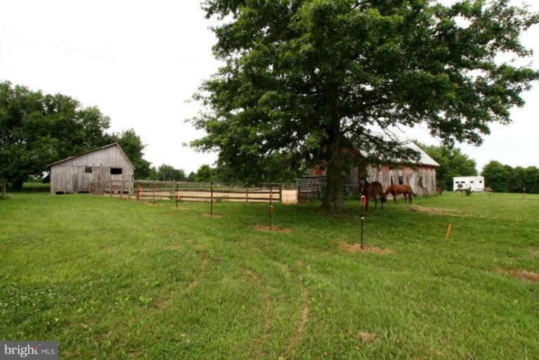 5175 Ed Prout Road Lothian, MD 20711 - Photo 6 of 13 Stable