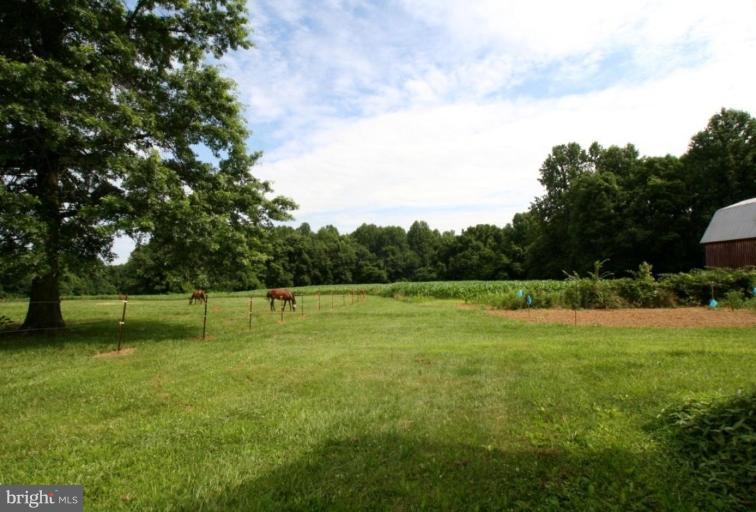 5175 Ed Prout Road Lothian, MD 20711 - Photo 7 of 13 Pasture