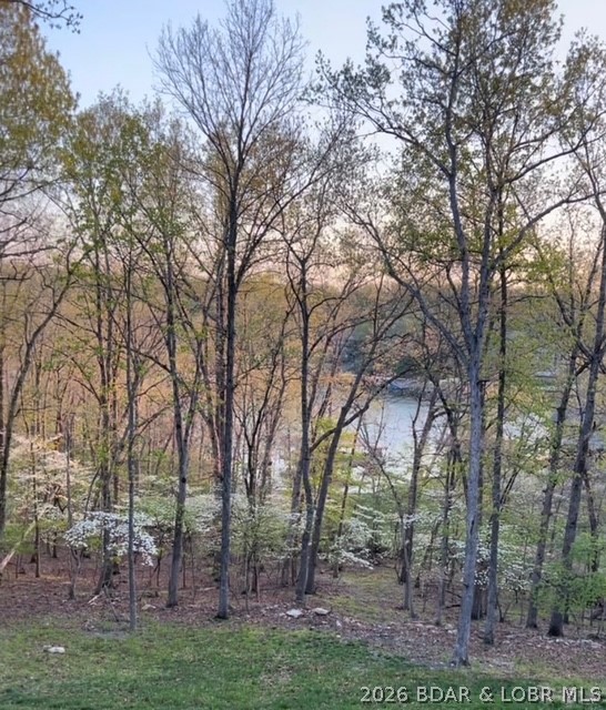 610 Cornett Branch Road Four Seasons, MO 65049 - Photo 53 of 59