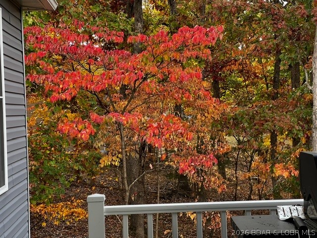 610 Cornett Branch Road Four Seasons, MO 65049 - Photo 58 of 59