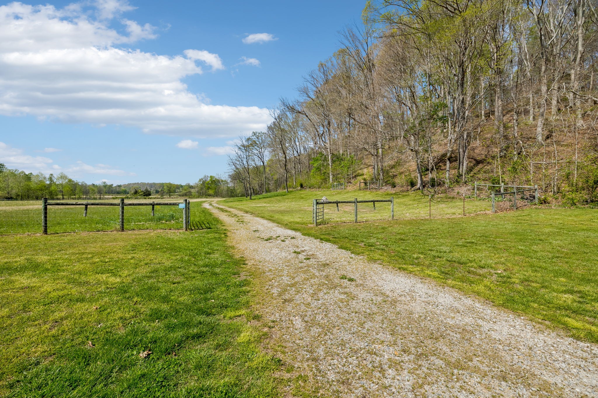 570 Piney Road Dickson, TN 37055 - Photo 27 of 63