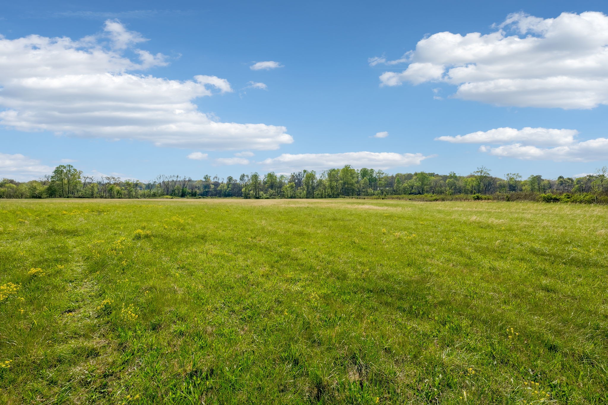 570 Piney Road Dickson, TN 37055 - Photo 31 of 63