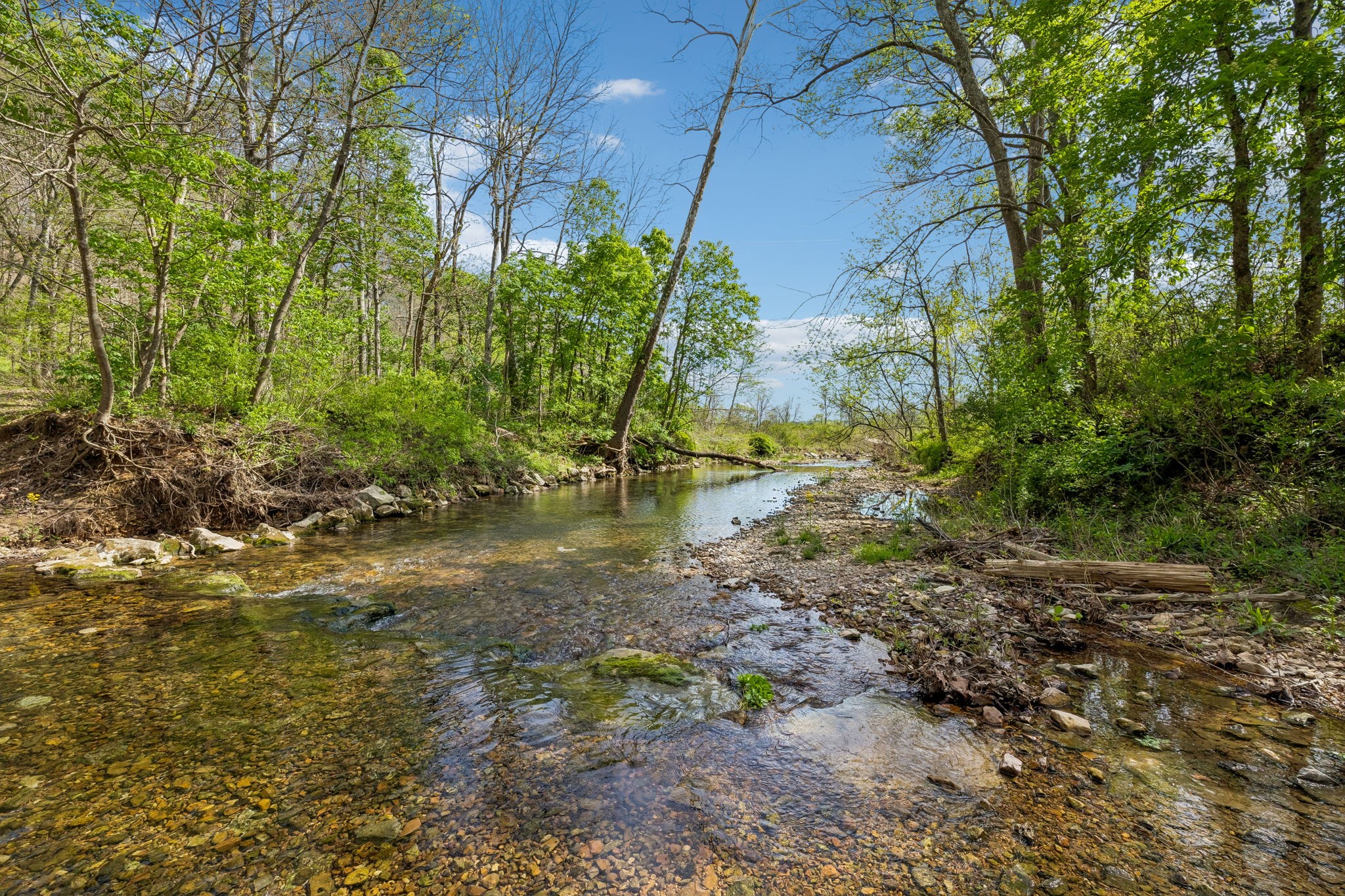 570 Piney Road Dickson, TN 37055 - Photo 36 of 63