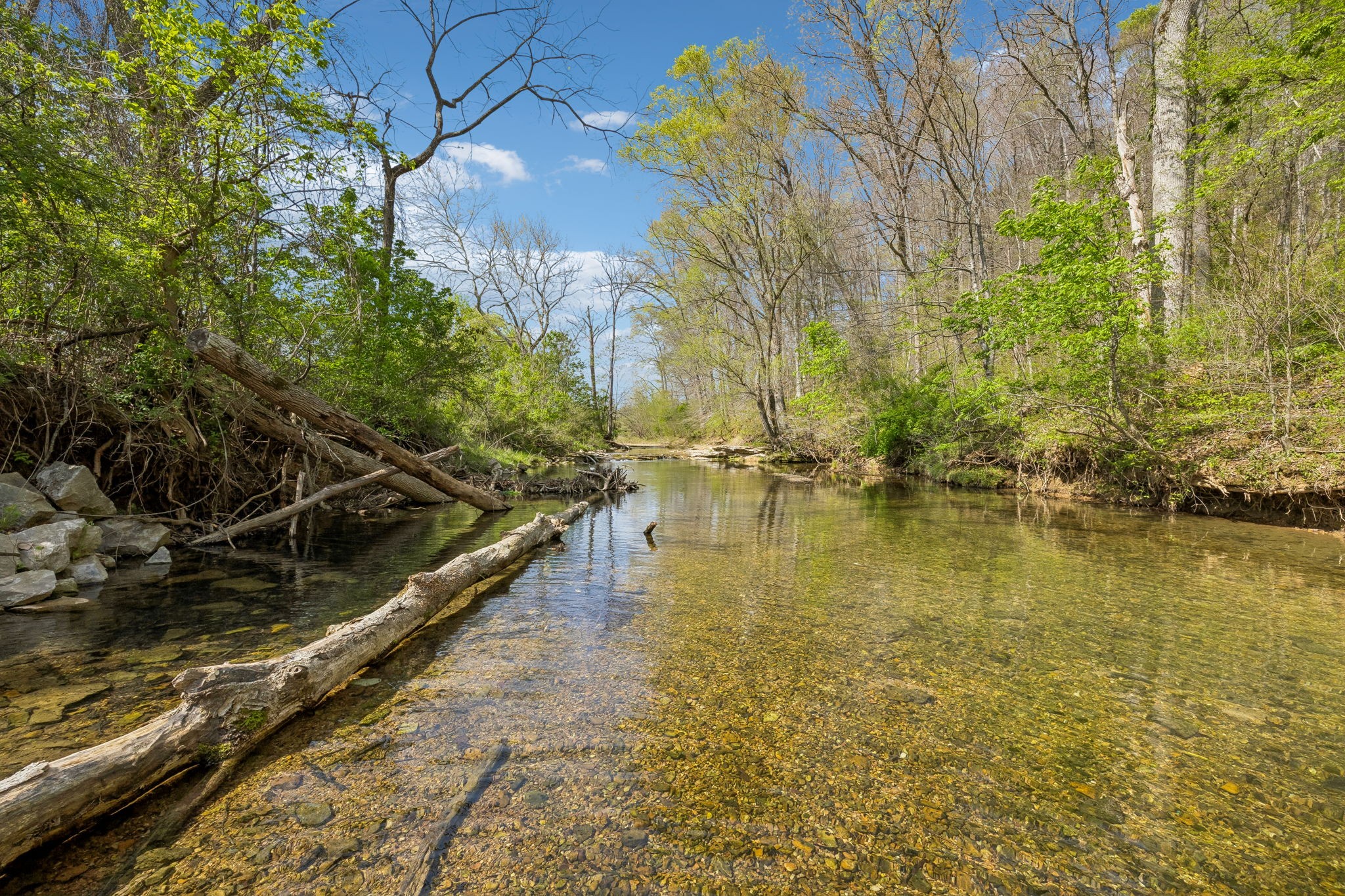 570 Piney Road Dickson, TN 37055 - Photo 37 of 63