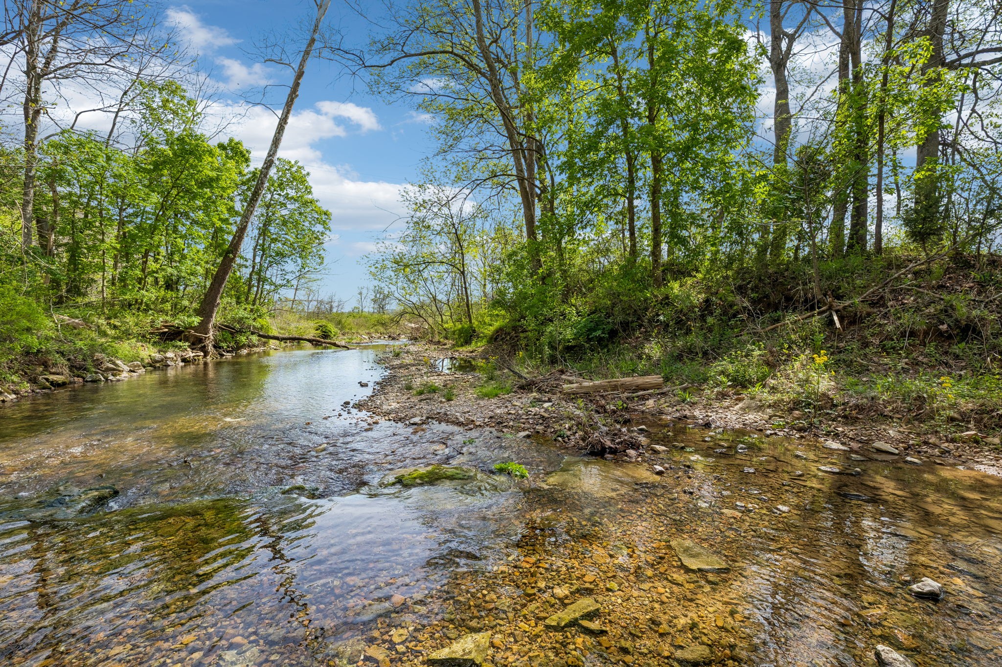 570 Piney Road Dickson, TN 37055 - Photo 38 of 63