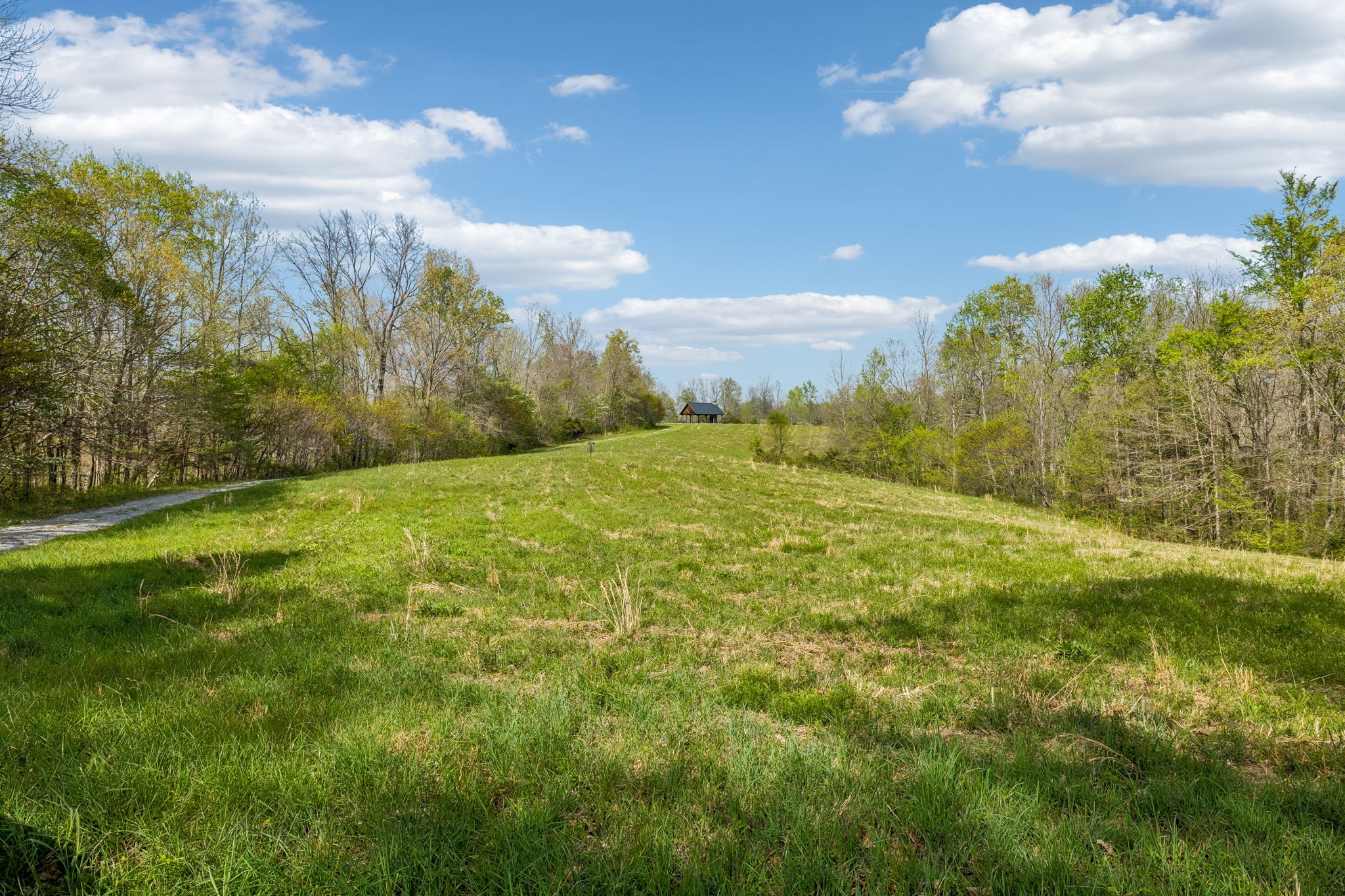 570 Piney Road Dickson, TN 37055 - Photo 39 of 63