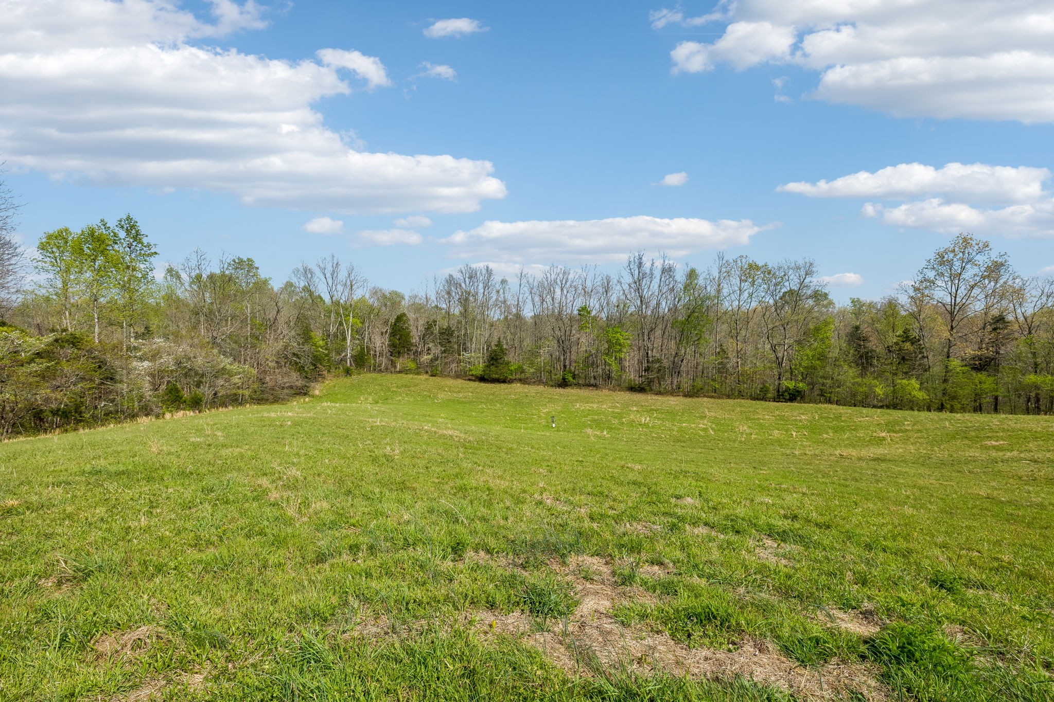 570 Piney Road Dickson, TN 37055 - Photo 45 of 63
