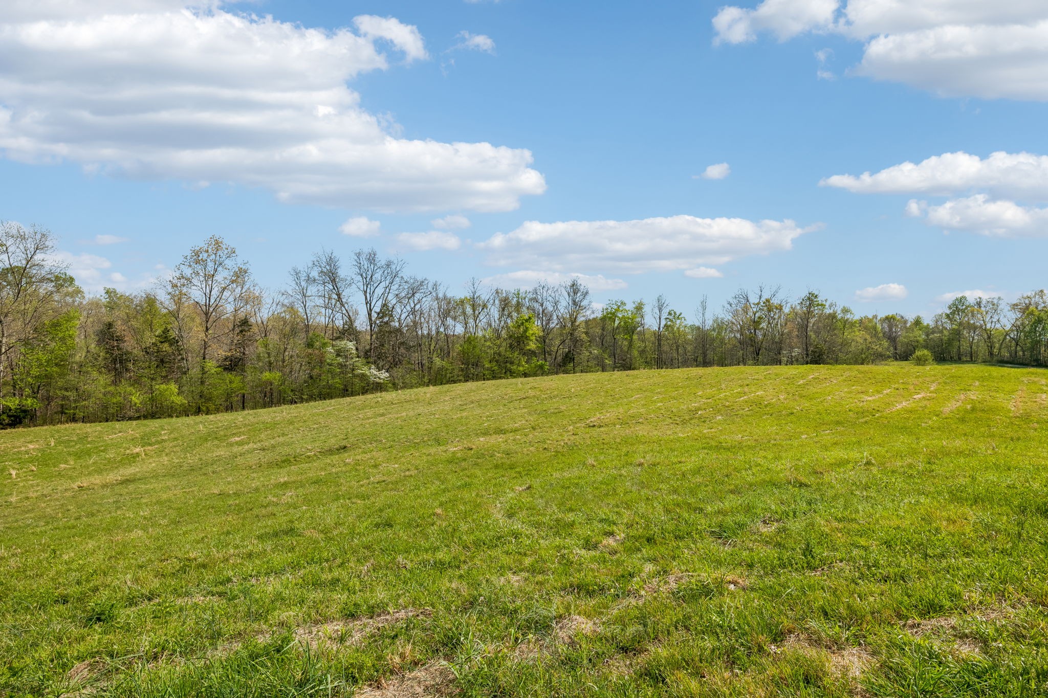 570 Piney Road Dickson, TN 37055 - Photo 46 of 63
