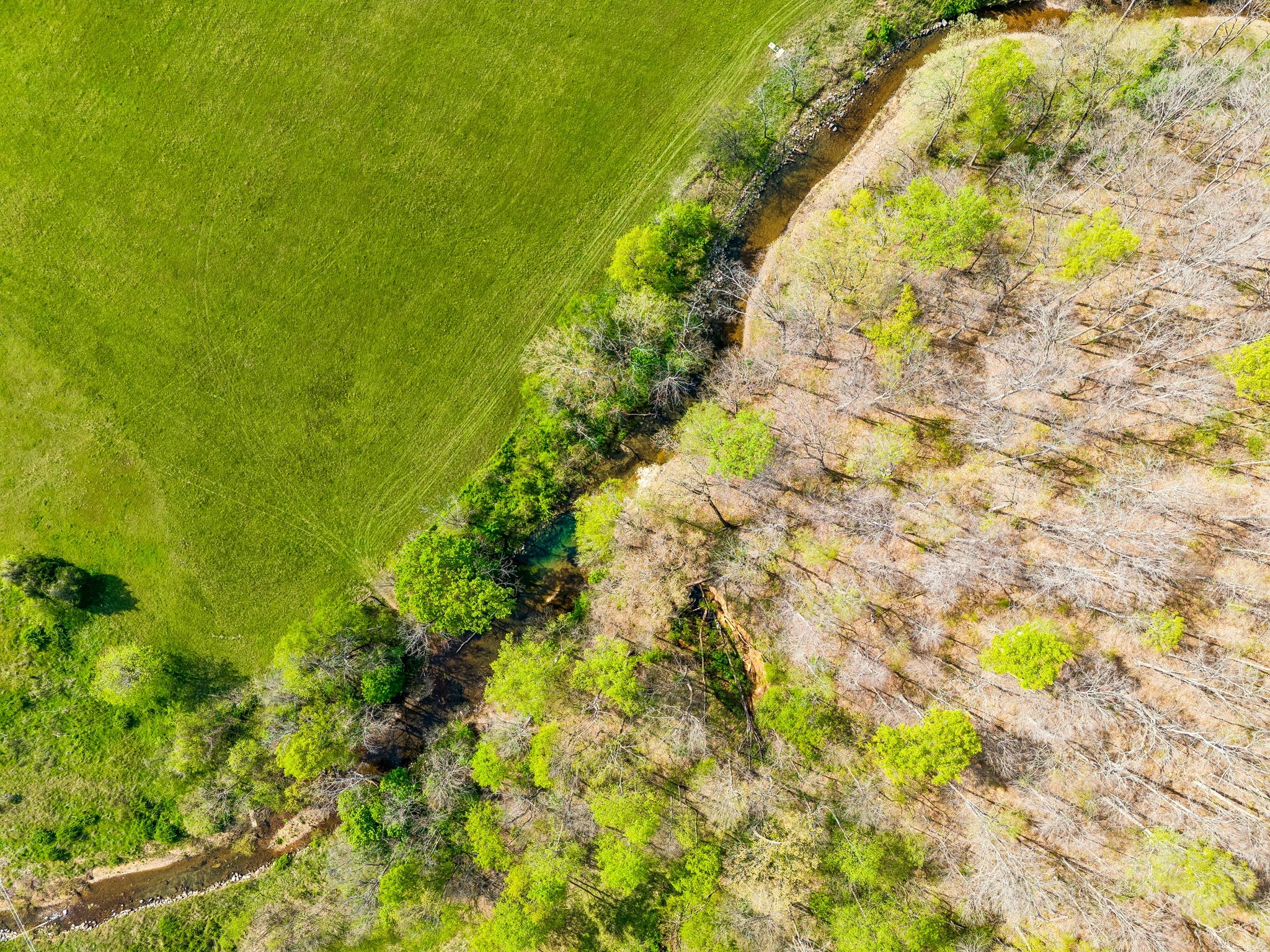 570 Piney Road Dickson, TN 37055 - Photo 53 of 63