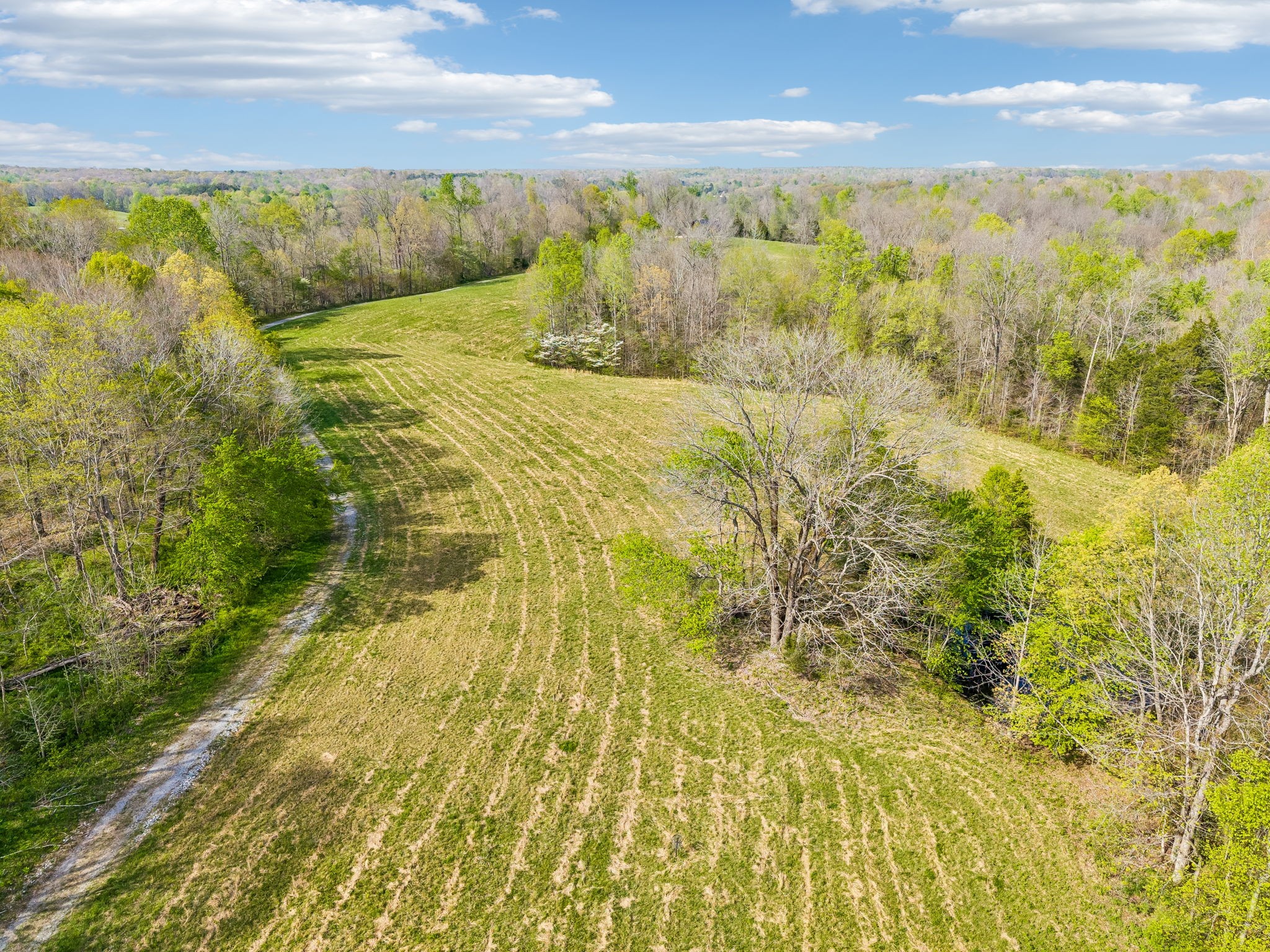 570 Piney Road Dickson, TN 37055 - Photo 58 of 63