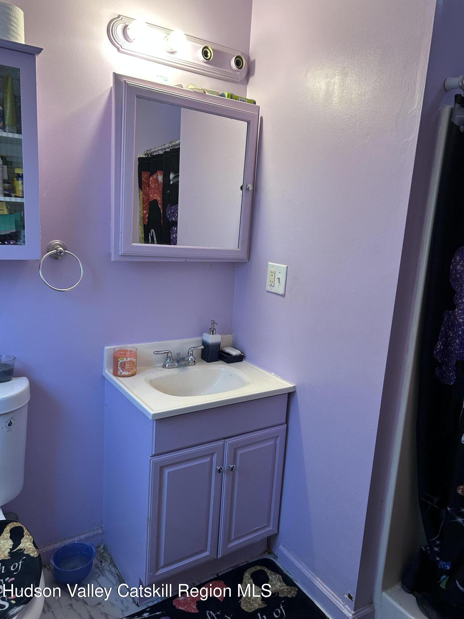 229 Cold Spring Road Hudson, NY 12534 - Photo 8 of 14 a bathroom with a sink a vanity and a mirror
