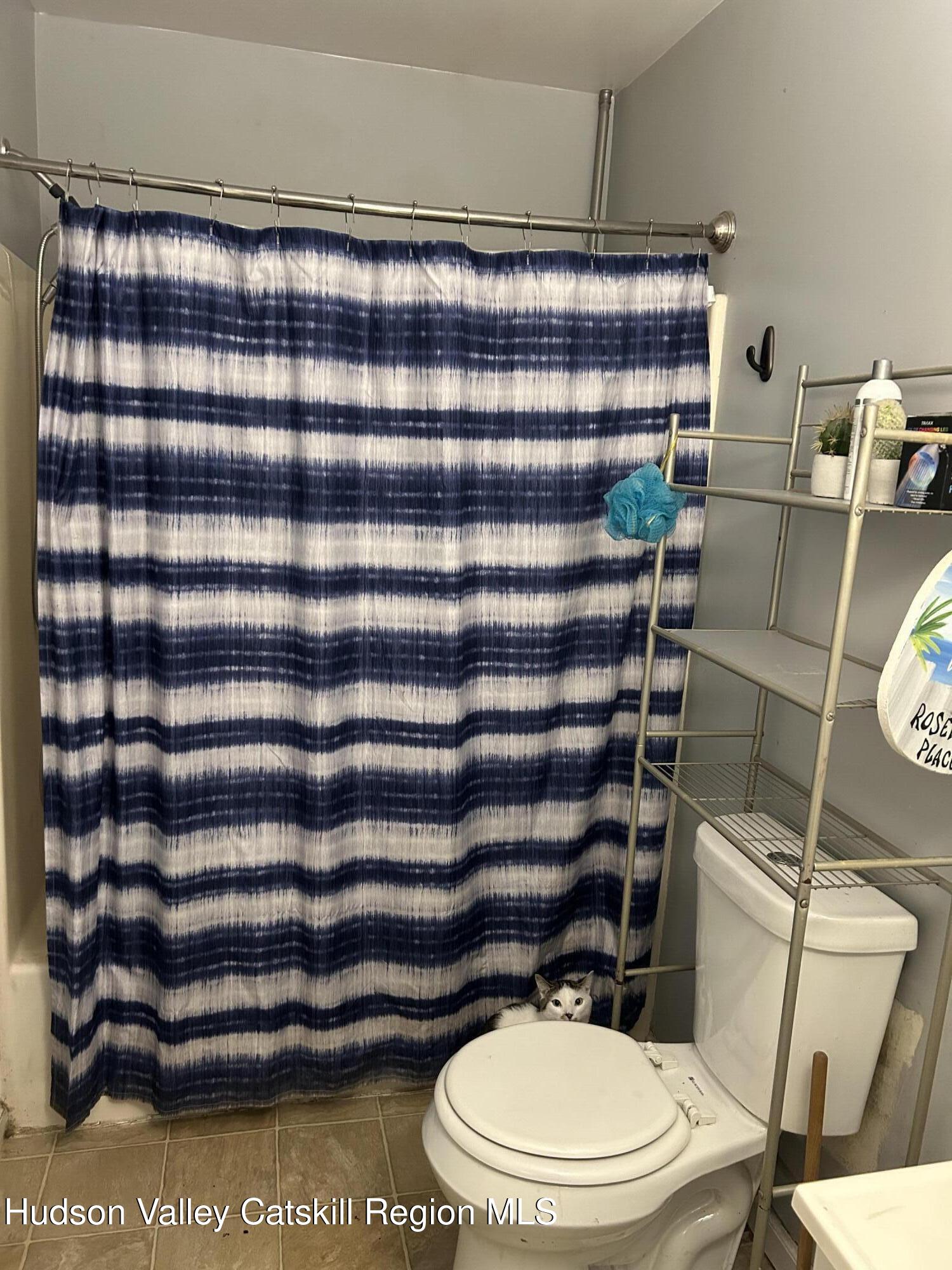 229 Cold Spring Road Hudson, NY 12534 - Photo 9 of 14 a bathroom with a toilet and a shower curtain