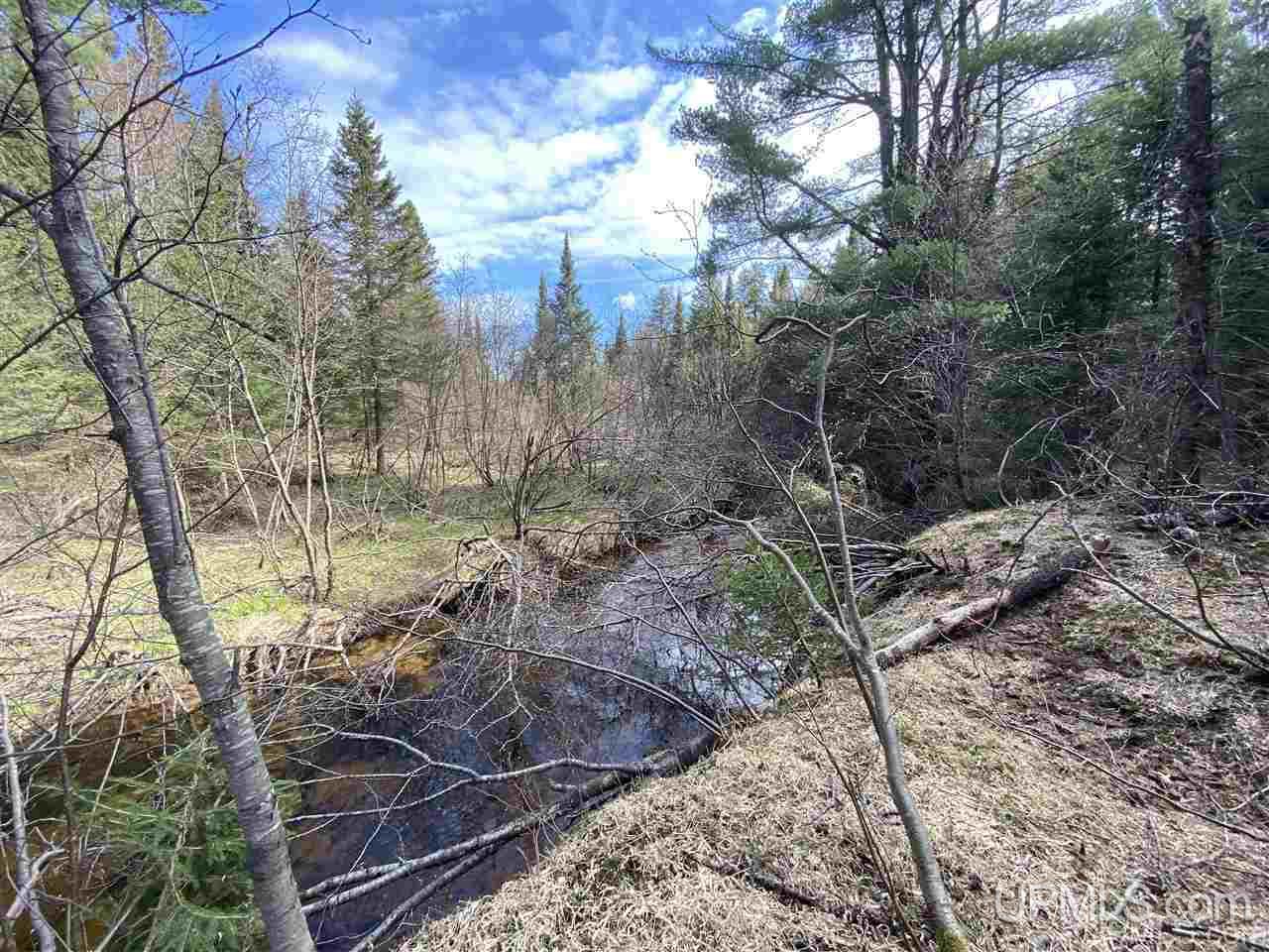 Tbd Tbd Co Road Negaunee, MI 49866 - Photo 17 of 40