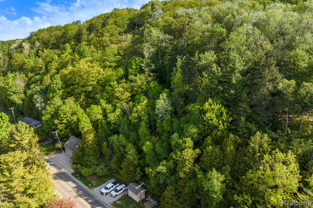 Private Spring Valley Drive Beulah, MI 49617 - Photo 5 of 11