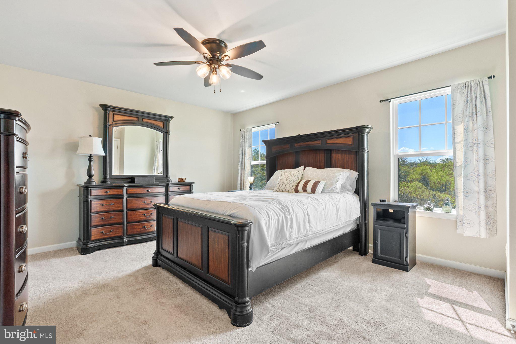 100 Splendor Garden Way Stephenson, VA 22656 - Photo 26 of 42 Master bedroom