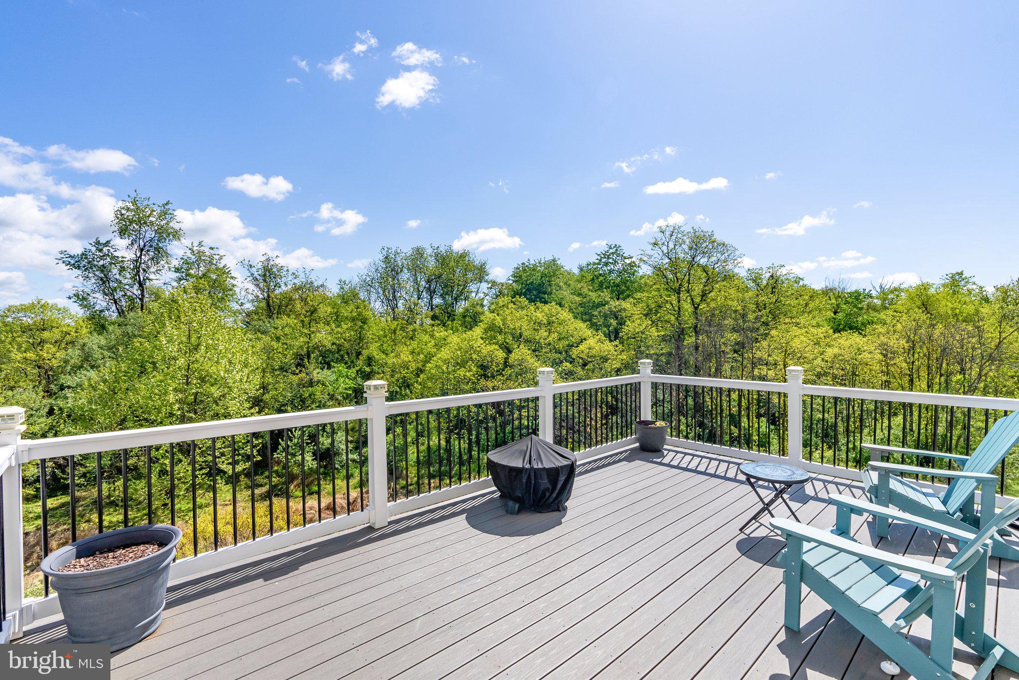 100 Splendor Garden Way Stephenson, VA 22656 - Photo 34 of 42 Deck