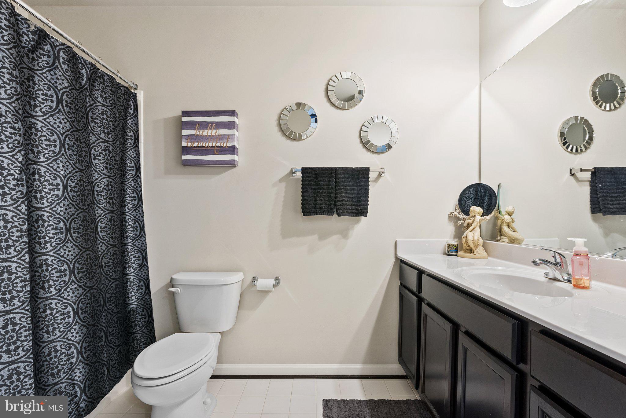 100 Splendor Garden Way Stephenson, VA 22656 - Photo 9 of 42 Lower level full bath