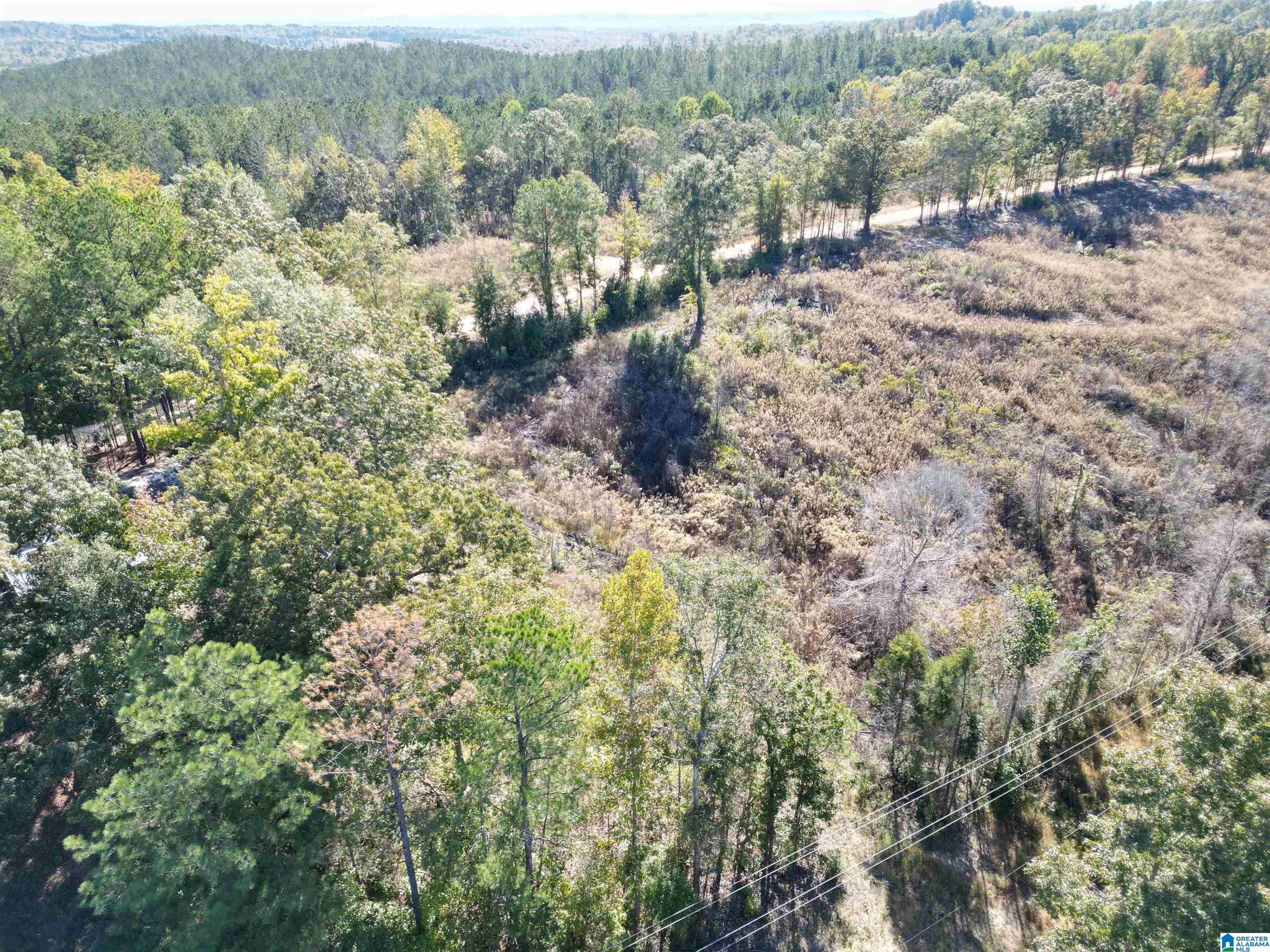 0 Payne Lk Road, Unit 1 Brent, AL 35034 - Photo 5 of 9
