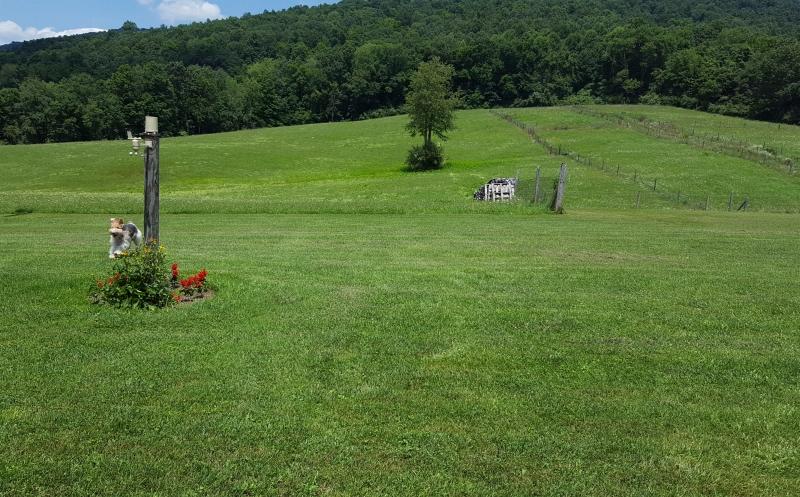 2271 Julia Road Renick, WV 24966 - Photo 75 of 79 Gallery Image 75