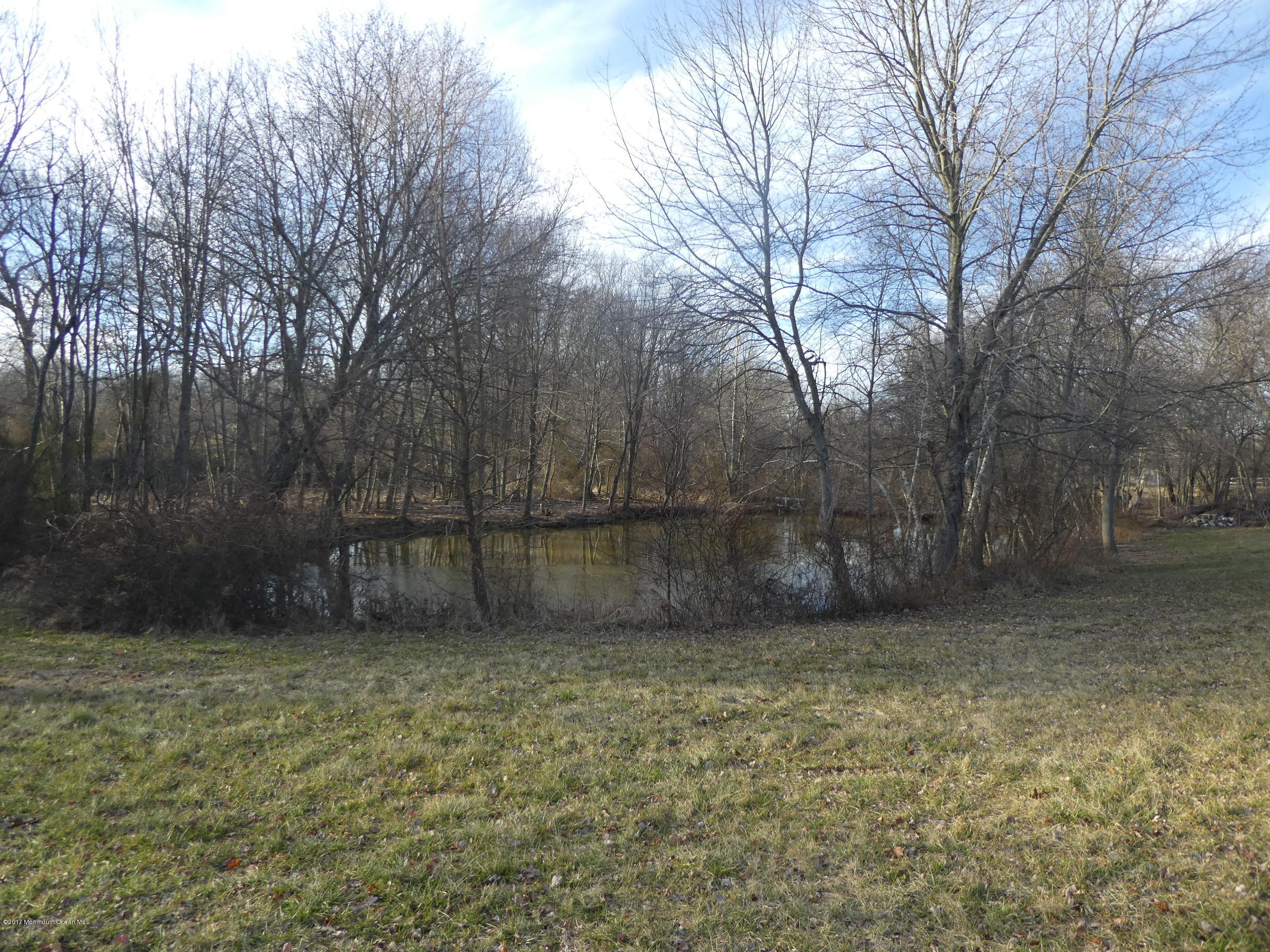 17 Charleston Spring Road Millstone Township, NJ 08510 - Photo 14 of 42 P1070042
