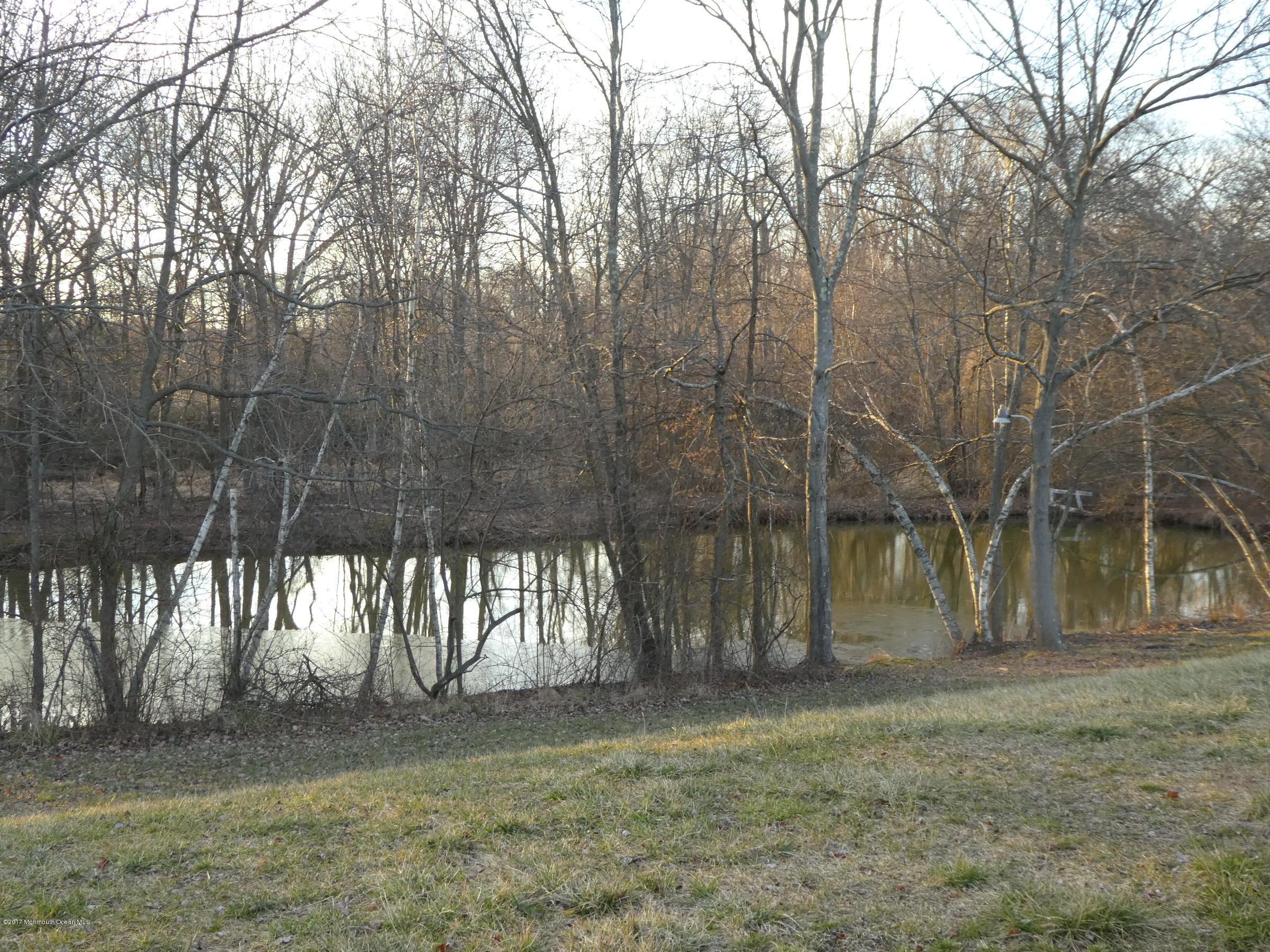 17 Charleston Spring Road Millstone Township, NJ 08510 - Photo 40 of 42 P1070088