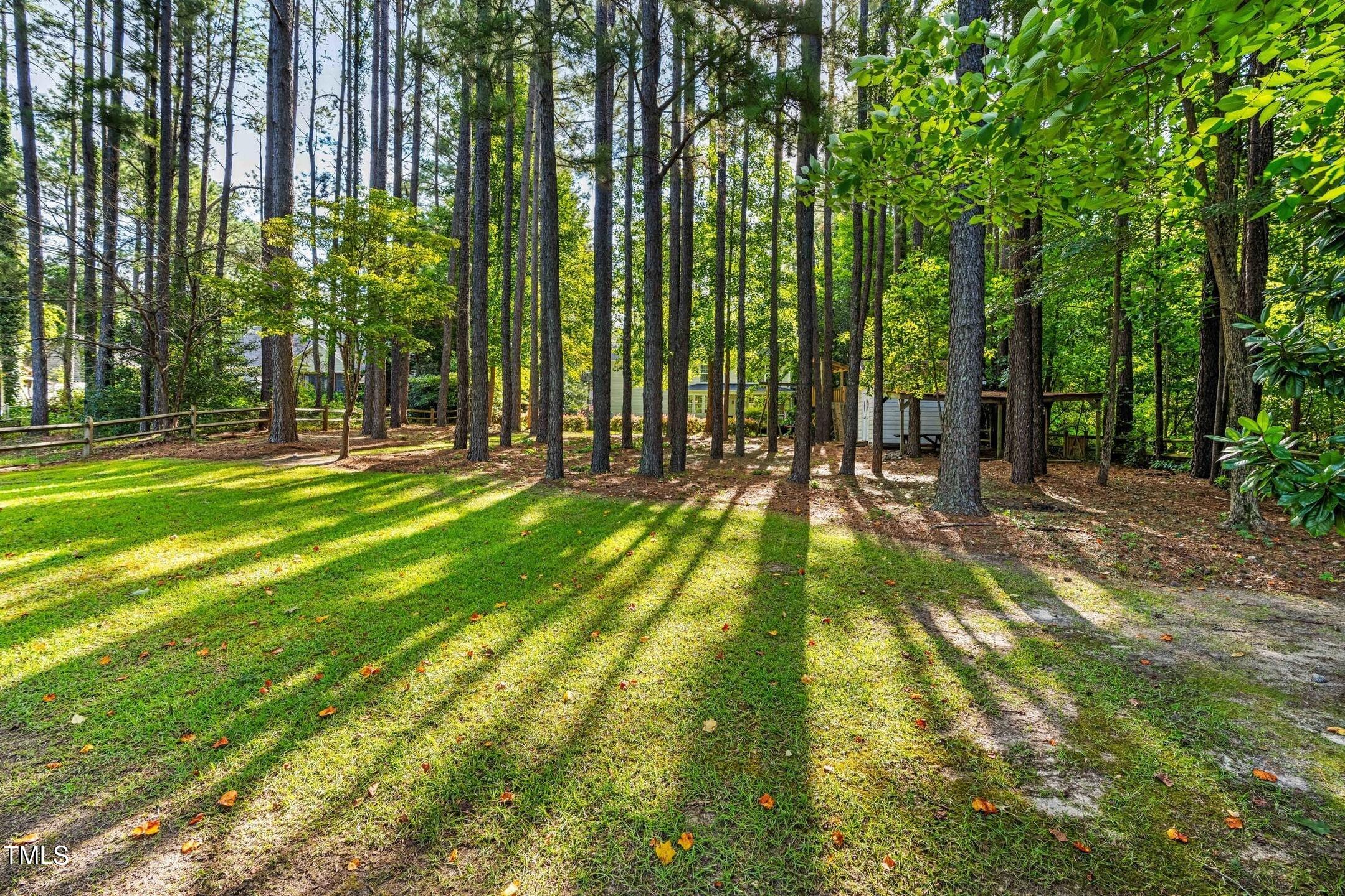 360 Cameron Drive Raleigh, NC 27603 - Photo 54 of 68 item_79 (1)