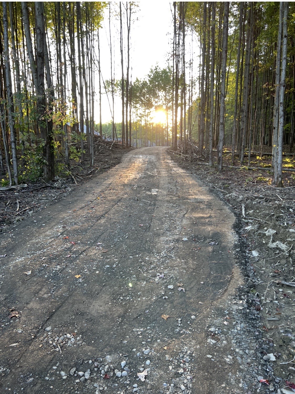 100 Monkey Run Road Port Crane, NY 13833 - Photo 46 of 50