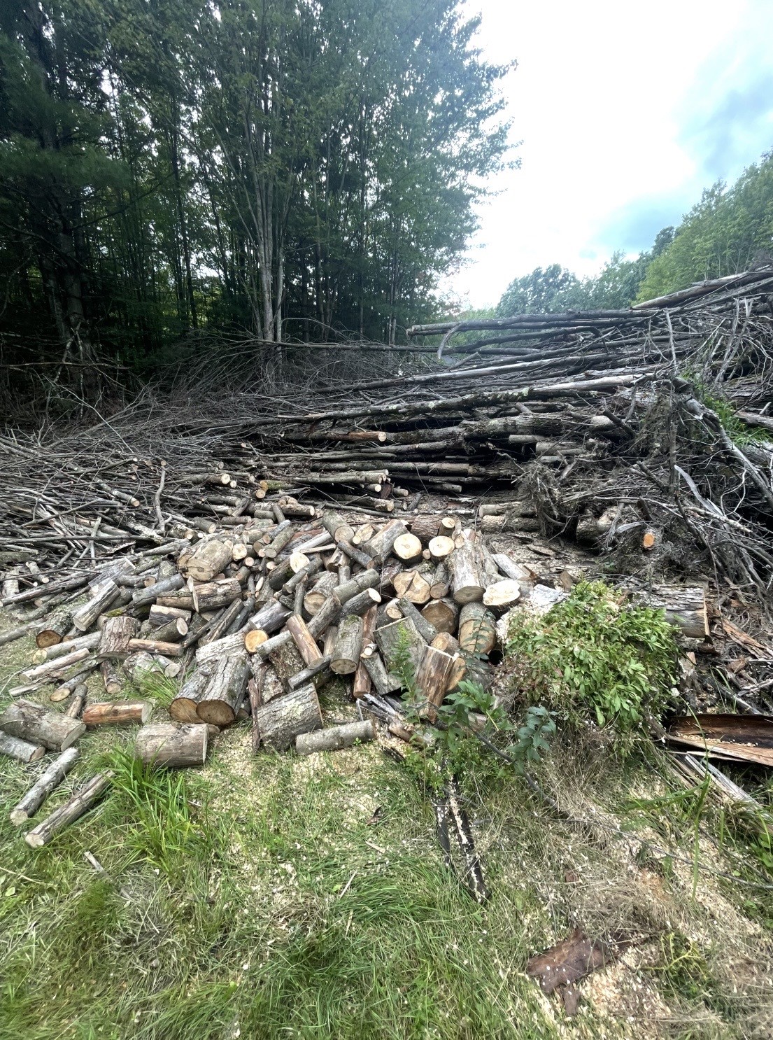 100 Monkey Run Road Port Crane, NY 13833 - Photo 49 of 50