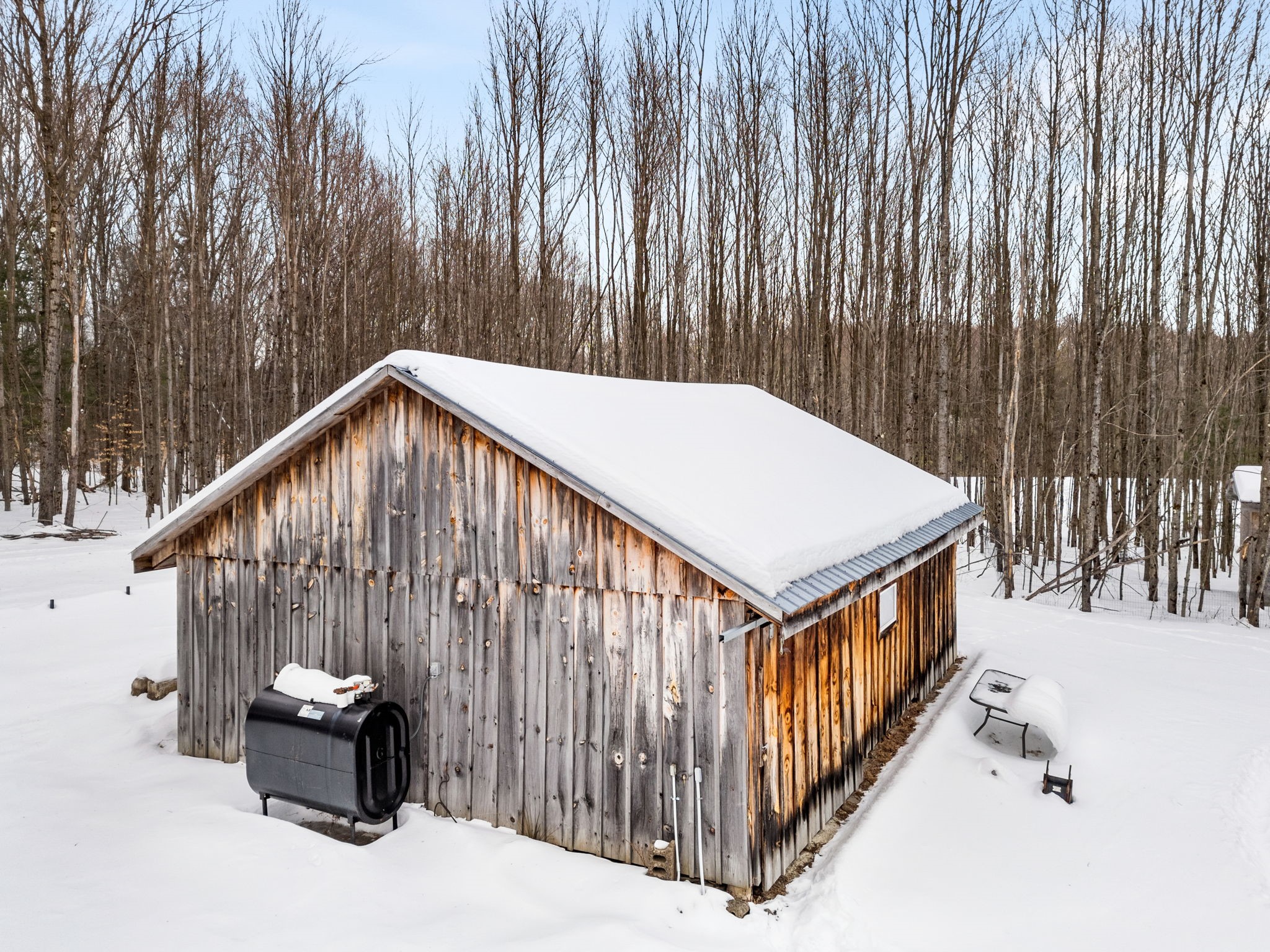 100 Monkey Run Road Port Crane, NY 13833 - Photo 6 of 50