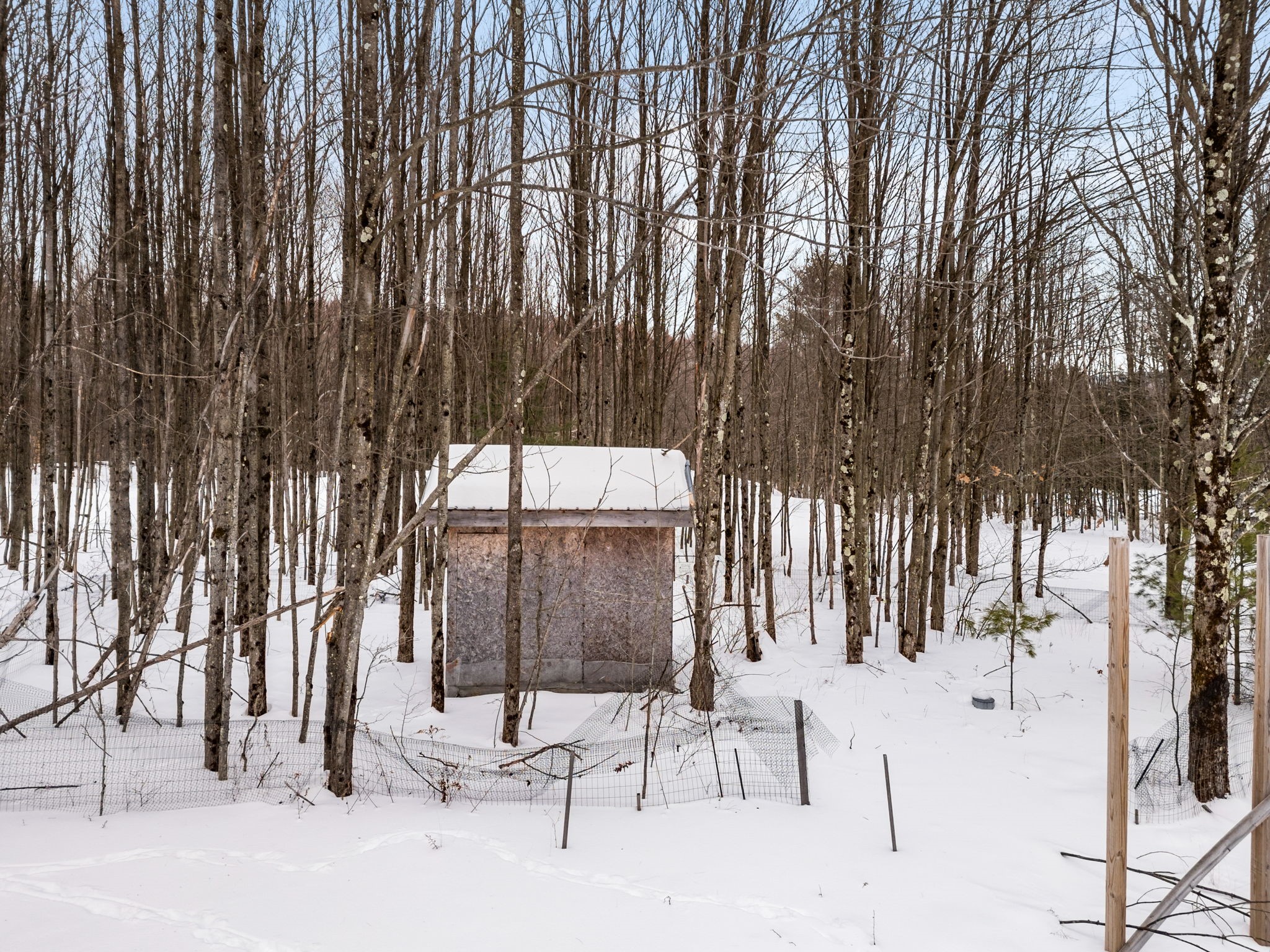 100 Monkey Run Road Port Crane, NY 13833 - Photo 7 of 50