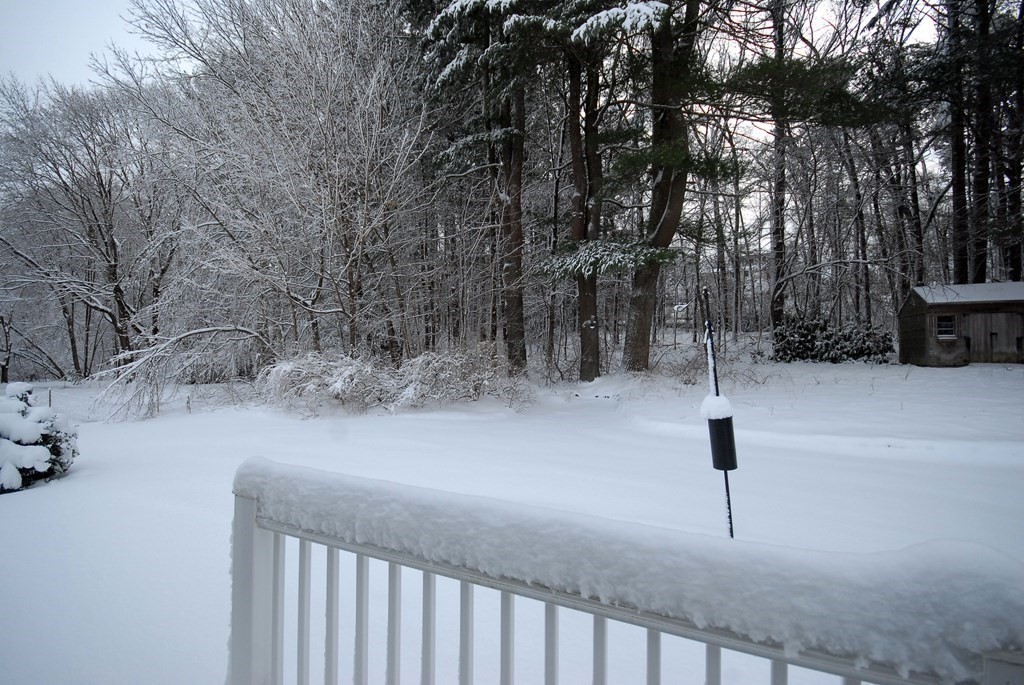 82 Powers Road Concord, MA 01742 - Photo 30 of 35 a view of outdoor space and yard